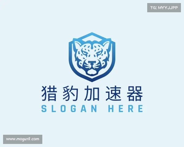 介绍猎豹加速器